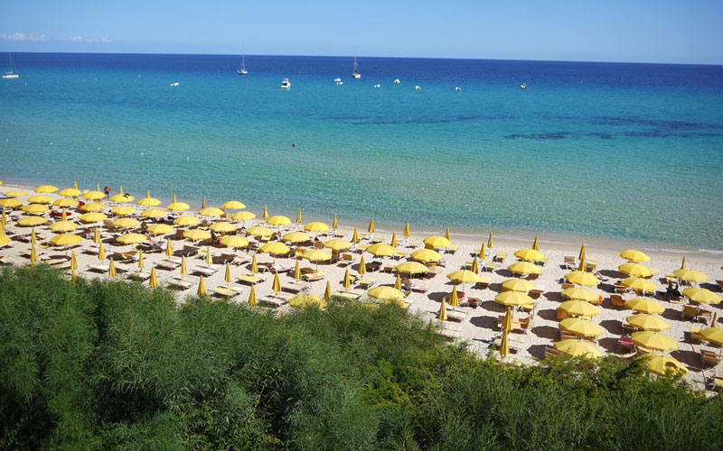 FREE BEACH CLUB
